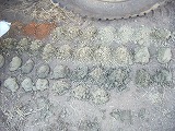 a0003089_21195664.jpg