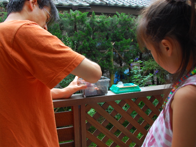 b0116590_0124429.jpg