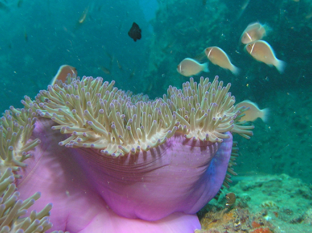 d0034291_2340819.jpg