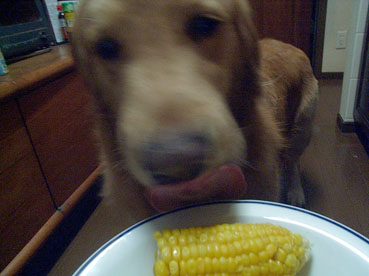 c0096393_22412523.jpg
