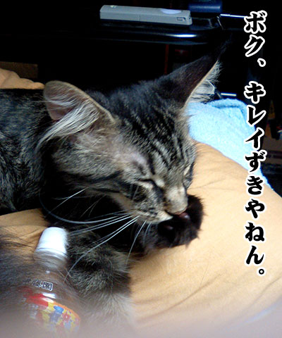 e0019594_12495161.jpg