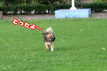 a0041108_22324299.jpg