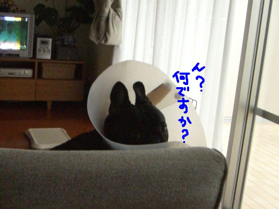 c0113109_21244136.jpg