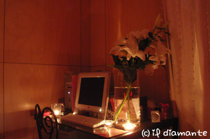 e0071409_3281024.jpg