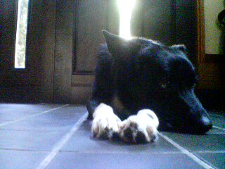 f0090009_1072728.jpg