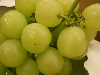 e0091322_20551167.jpg