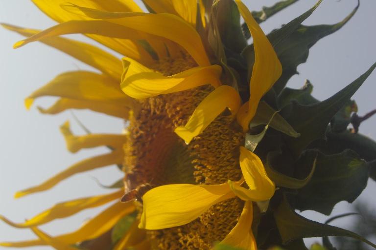 c0107924_1754545.jpg