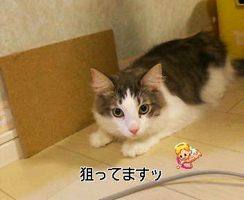 a0090729_0273013.jpg
