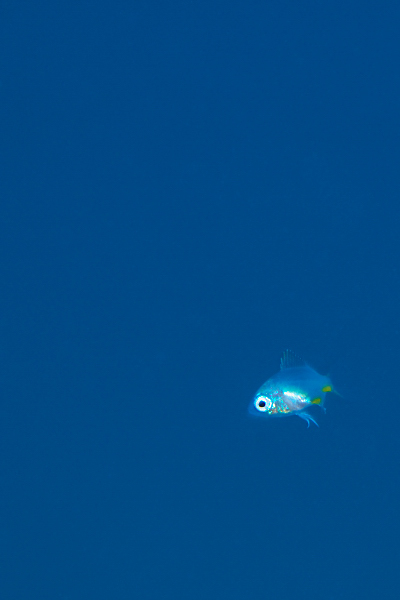 e0091530_0295112.jpg