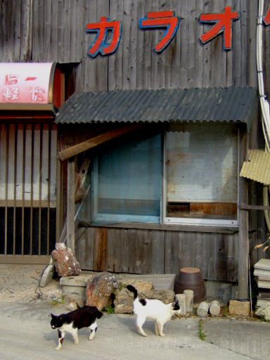 c0032138_1927592.jpg