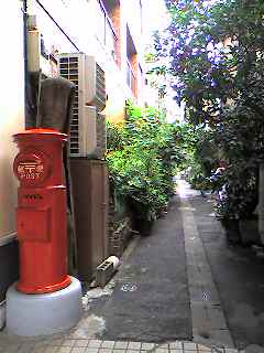 e0018350_718376.jpg
