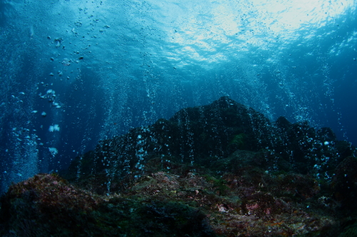 d0021952_154233.jpg