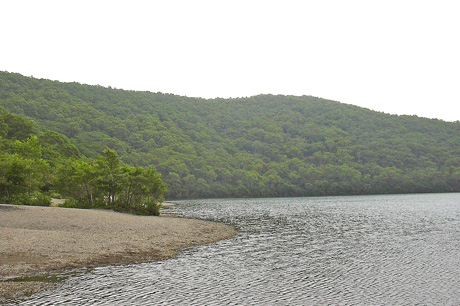 a0001354_18581899.jpg