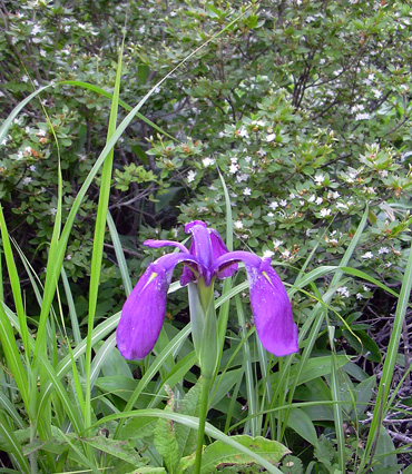 a0001354_1903017.jpg