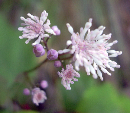 a0001354_1923373.jpg