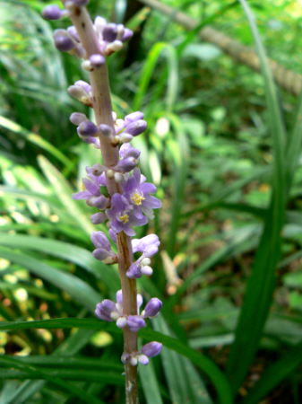 d0091754_22345168.jpg