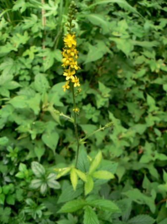 d0091754_22423926.jpg