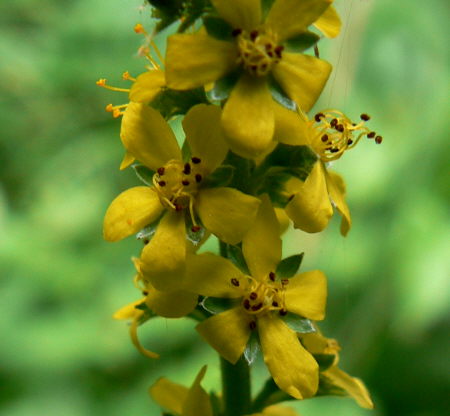 d0091754_22431680.jpg