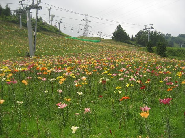 f0100871_1344268.jpg