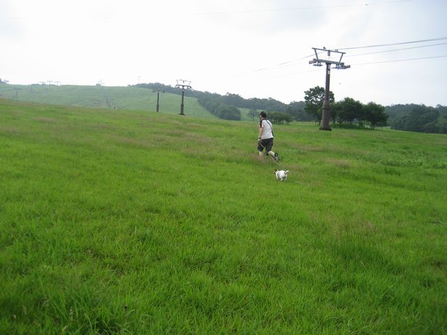 f0100871_14293473.jpg