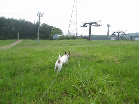 f0100871_14332489.jpg