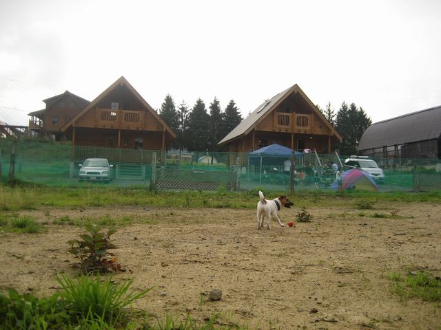 f0100871_14443896.jpg