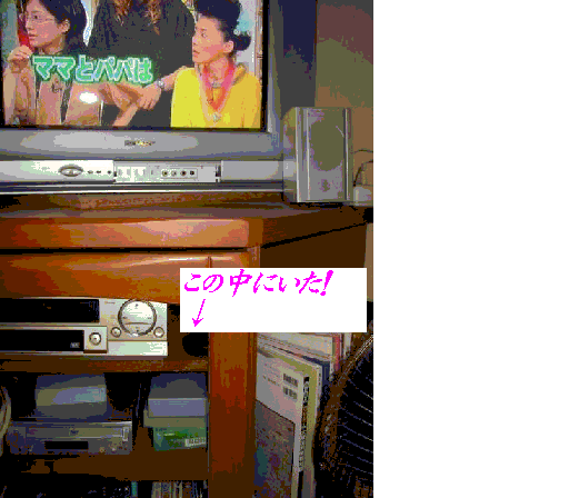 e0031572_229061.gif