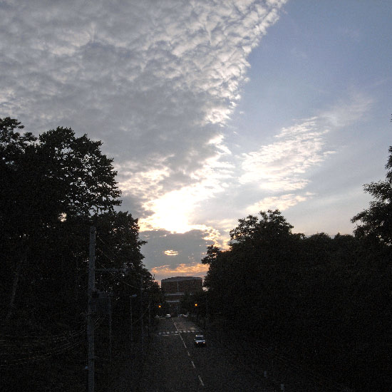 e0100772_21455578.jpg