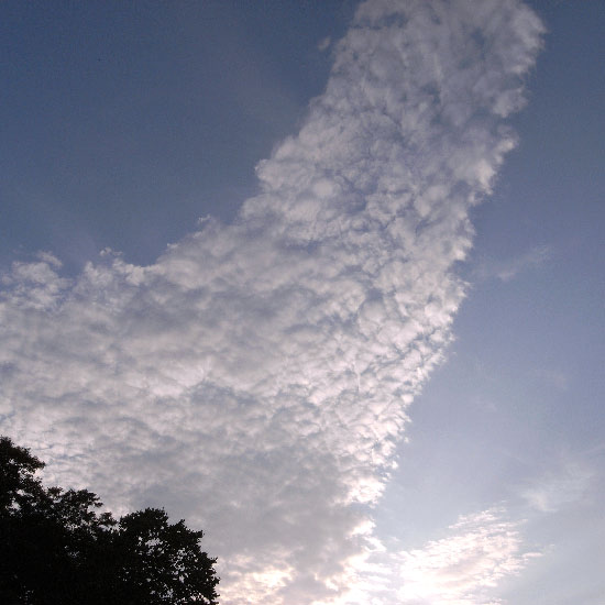 e0100772_21483939.jpg