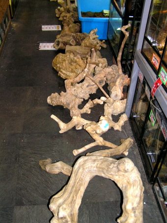 e0099576_2021559.jpg