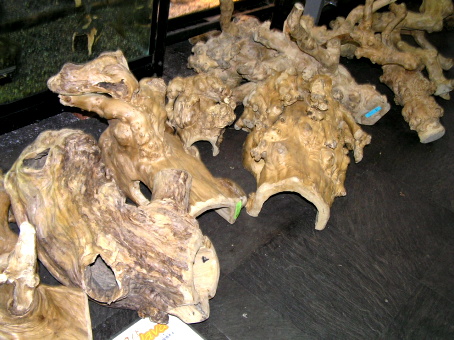 e0099576_202565.jpg
