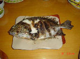 e0118683_14231031.jpg