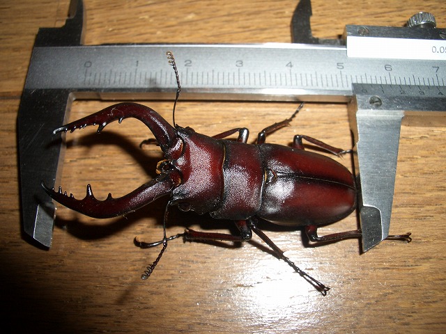 c0126786_22242867.jpg