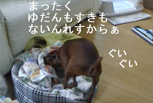 f0123589_1316262.jpg