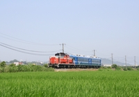 b0114392_1754529.jpg
