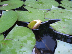 f0130894_21324100.jpg