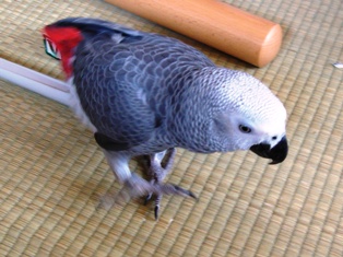 c0118496_227287.jpg