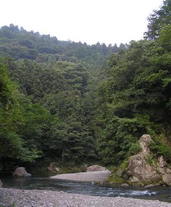 d0041400_22314472.jpg