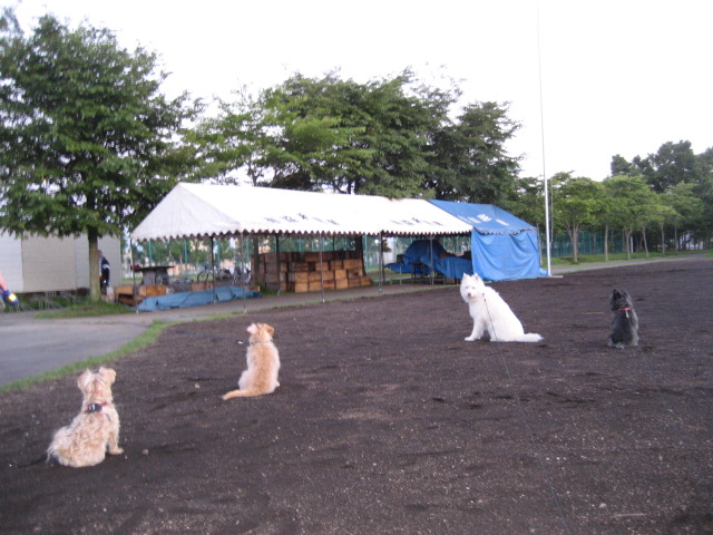 d0009101_21294913.jpg