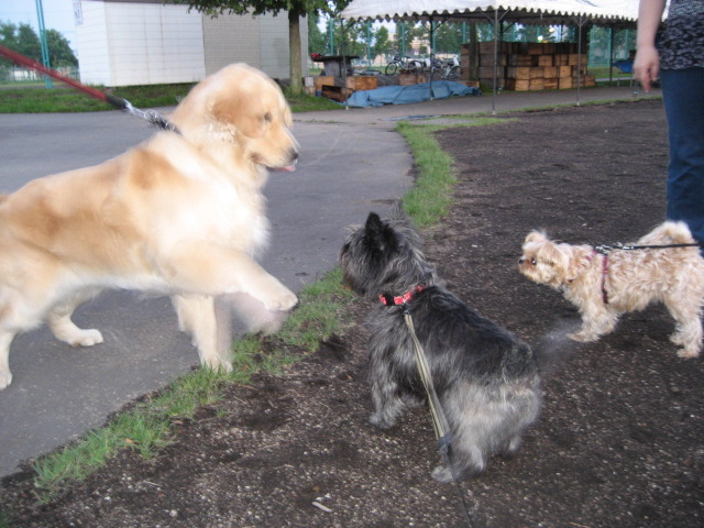 d0009101_215218.jpg