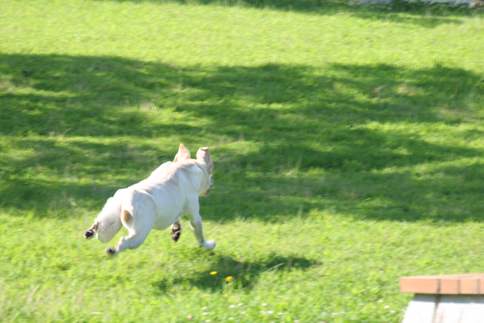 c0089005_1105927.jpg