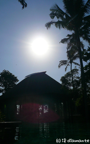 e0071409_1781514.jpg