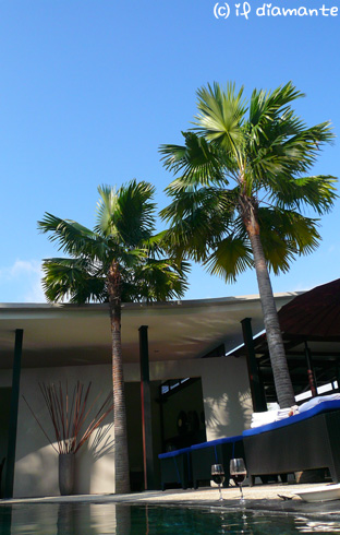 e0071409_1961184.jpg