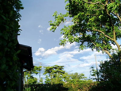 c0029913_2319311.jpg