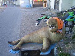 c0000816_23501563.jpg