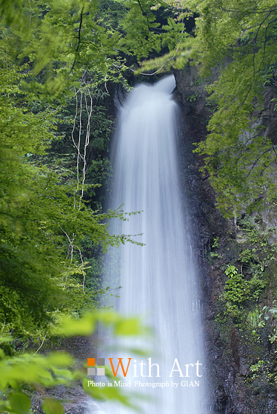 e0006219_21573820.jpg