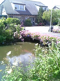 a0052621_0444038.jpg