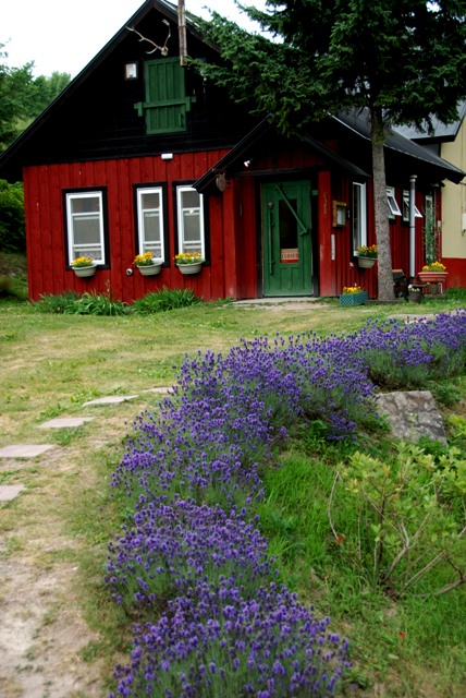 f0046128_21334579.jpg