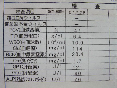 f0002833_2229288.jpg
