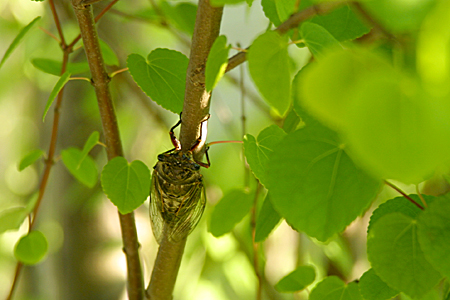 a0097735_012273.jpg